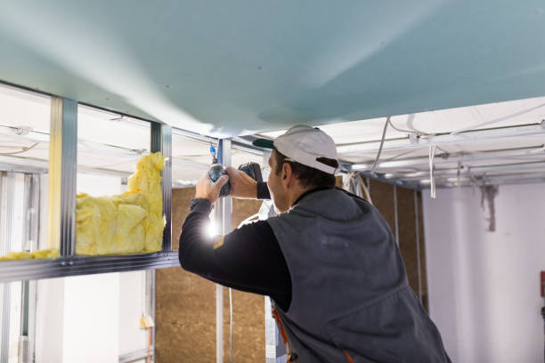 Insulation for Commercial Buildings in Windsor, NC