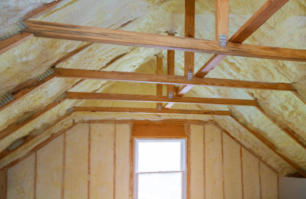 Best Insulation Repair Services  in Windsor, NC