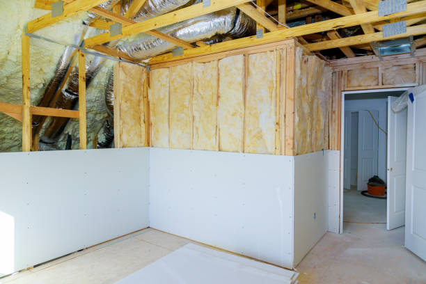 Best Local Insulation Services  in Windsor, NC