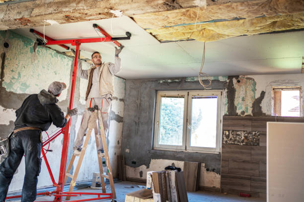 Best Professional Insulation Contractor  in Windsor, NC