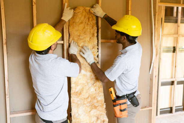 Best Insulation Replacement Services  in Windsor, NC