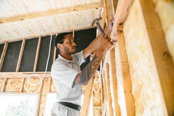 Best Insulation Inspection Services  in Windsor, NC