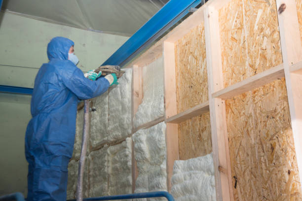 Best Cellulose Insulation  in Windsor, NC