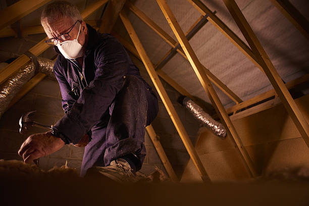 Best Home Insulation Services  in Windsor, NC
