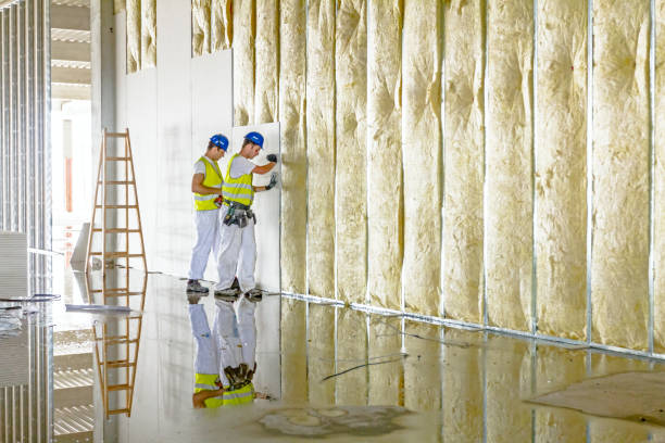 Best Insulation for New Construction  in Windsor, NC